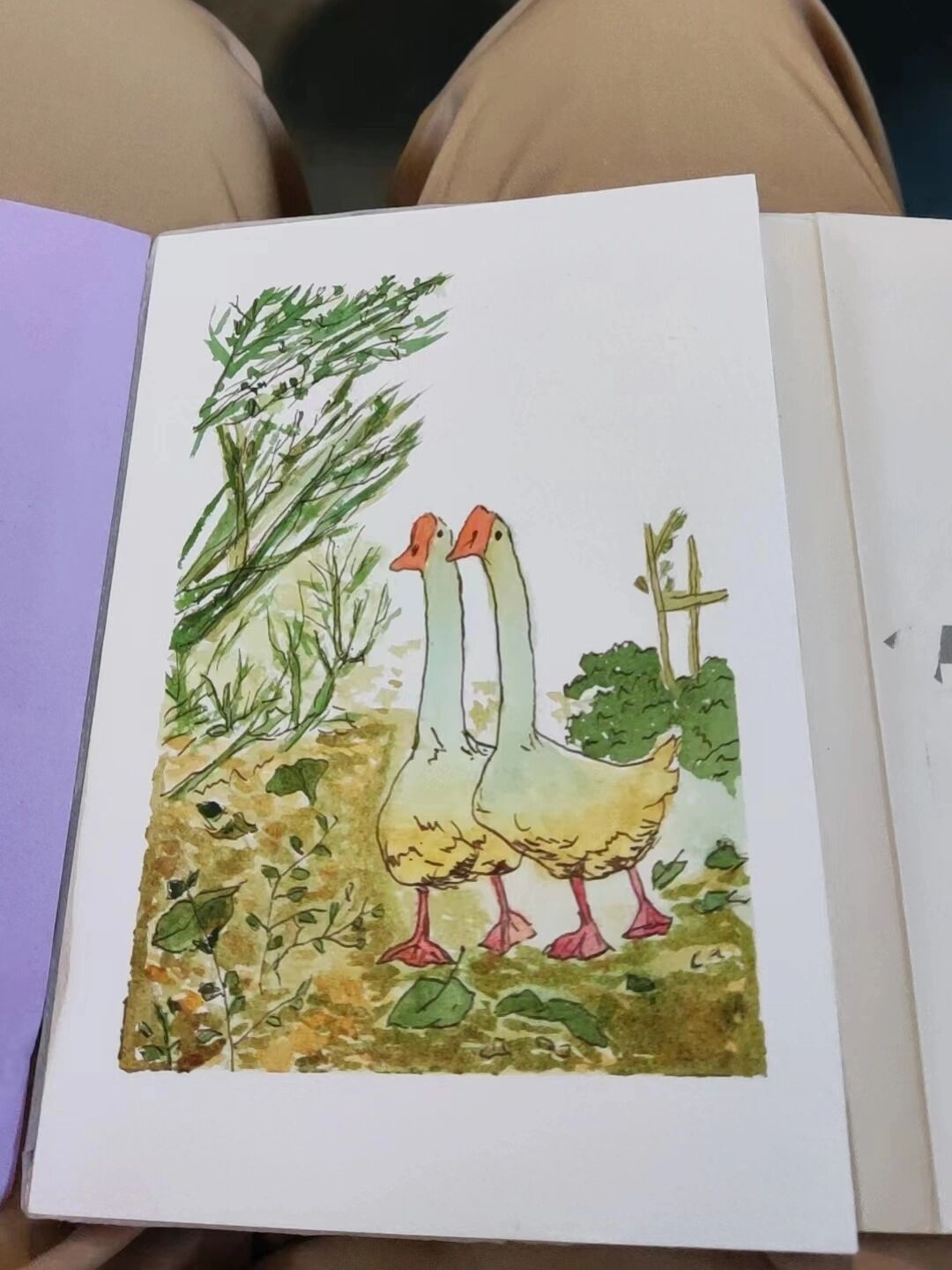 走过的坎坷与收获