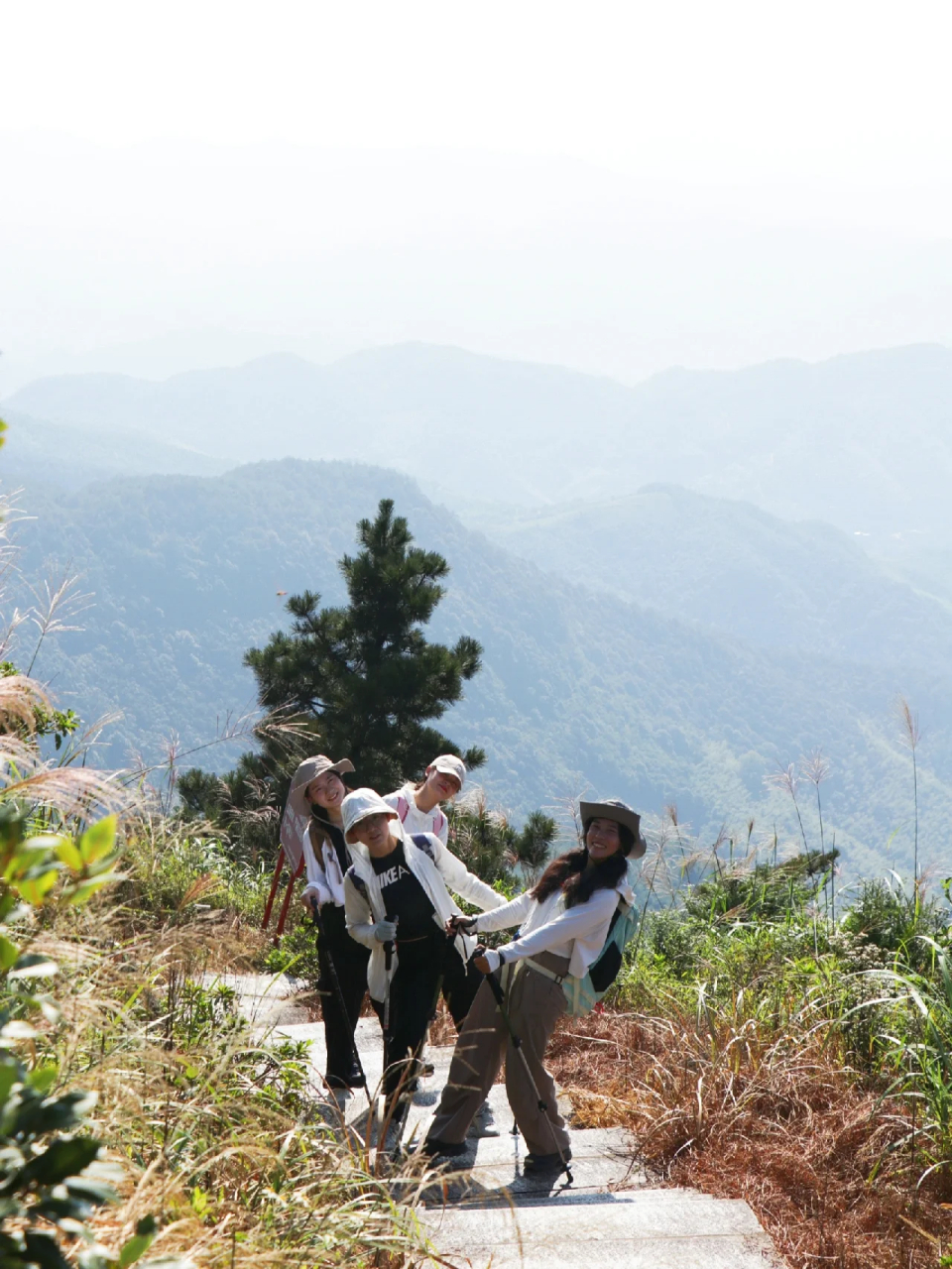 福建闽南第一高峰大芹山  98大芹山是闽南第1高峰,海拔1544.8m.