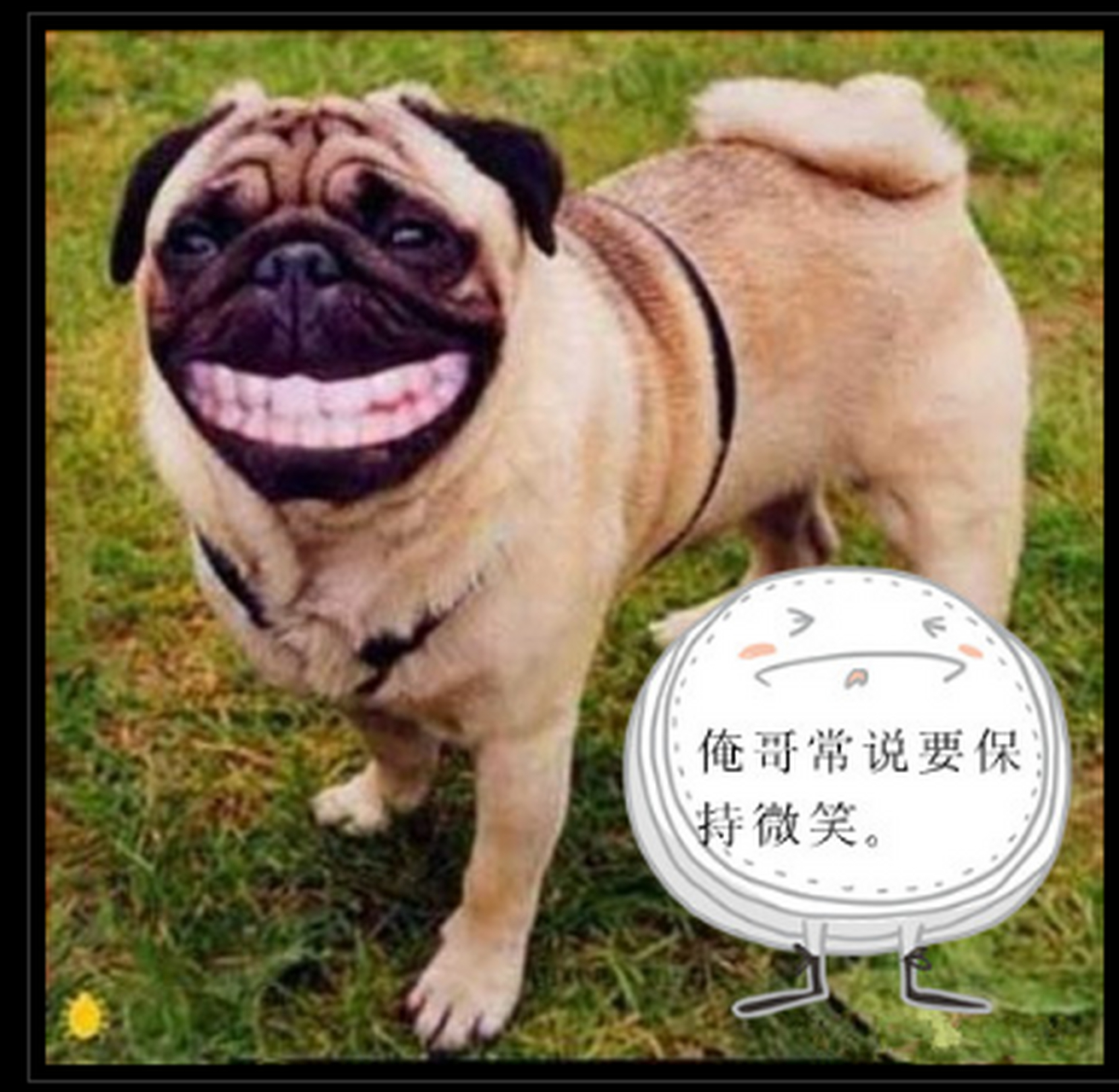 说让你保持微笑,没说让你吓人呐.