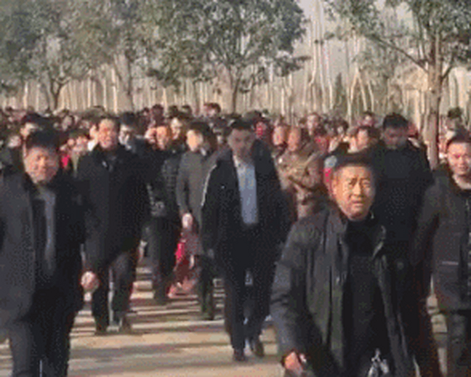 许家印当年回老家,一路专车开道,当地乡亲还在路旁迎接,而光是看一行