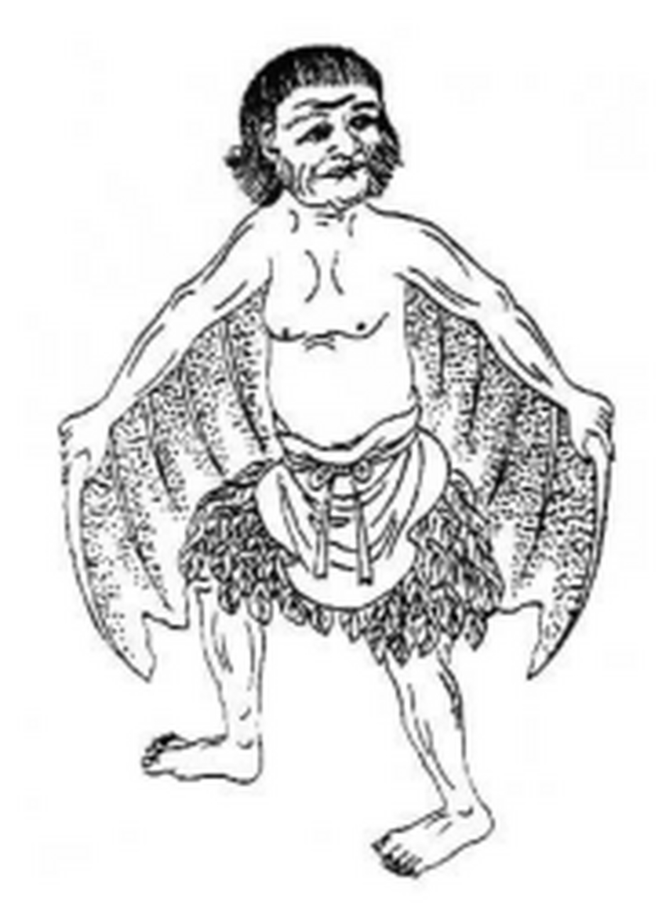 【山海经之异国——三苗国】苗族祖先  《海外南经》有曰:三苗国在