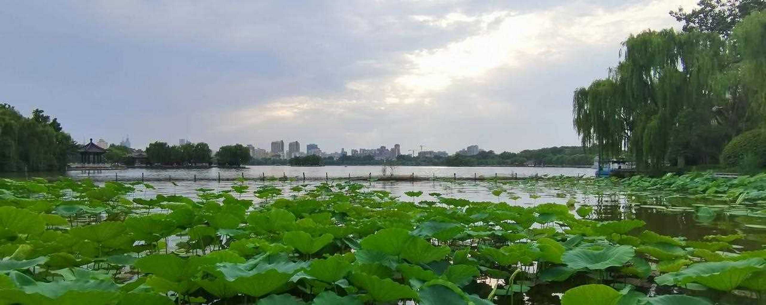 刘凤诰《咏大明湖》图片