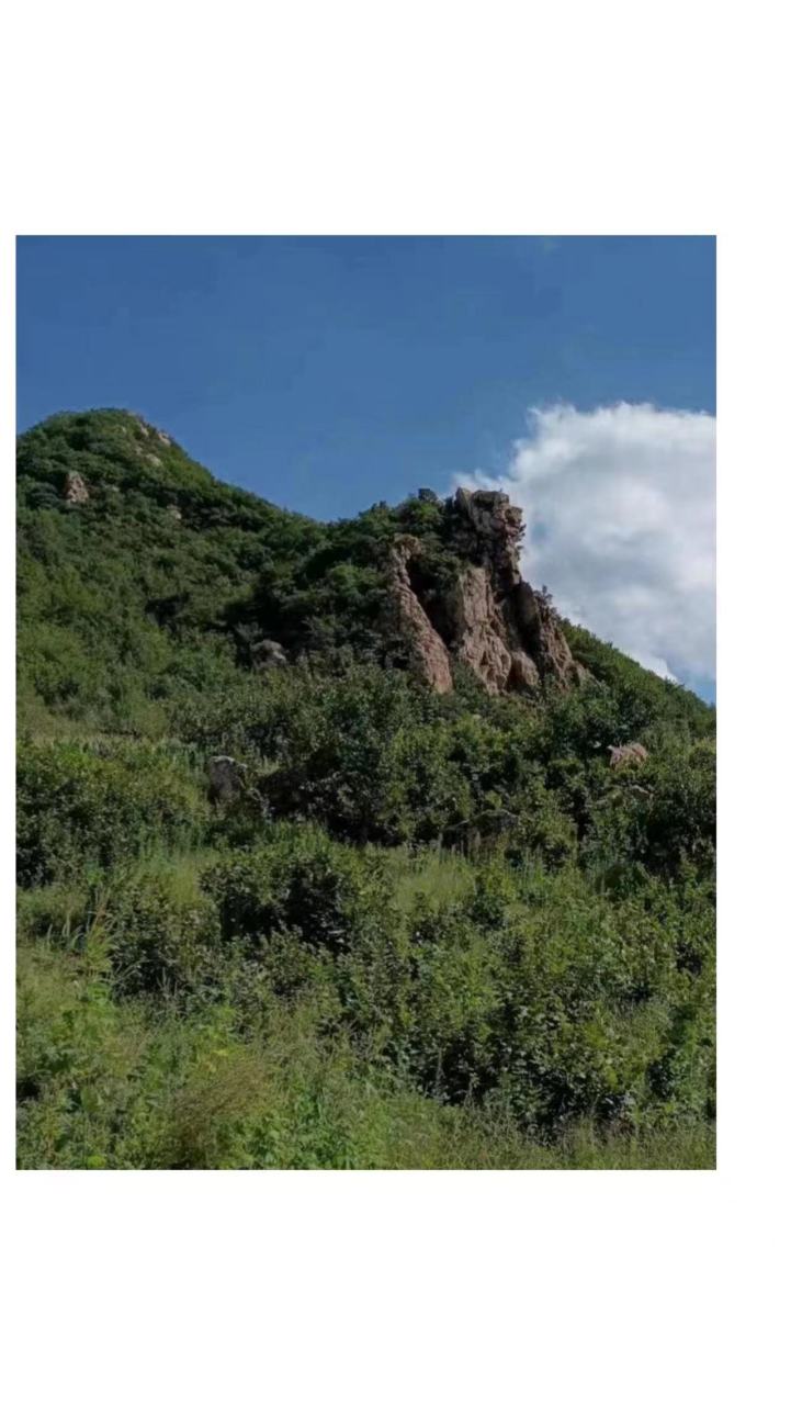 美好辽宁欢迎您# 开原大美松山欢迎您#网红打卡地辽宁杠杠滴