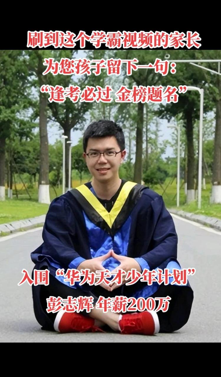 稚晖君原名彭志辉,于1993年出生于江西吉安,有着"华为天才少年","野生