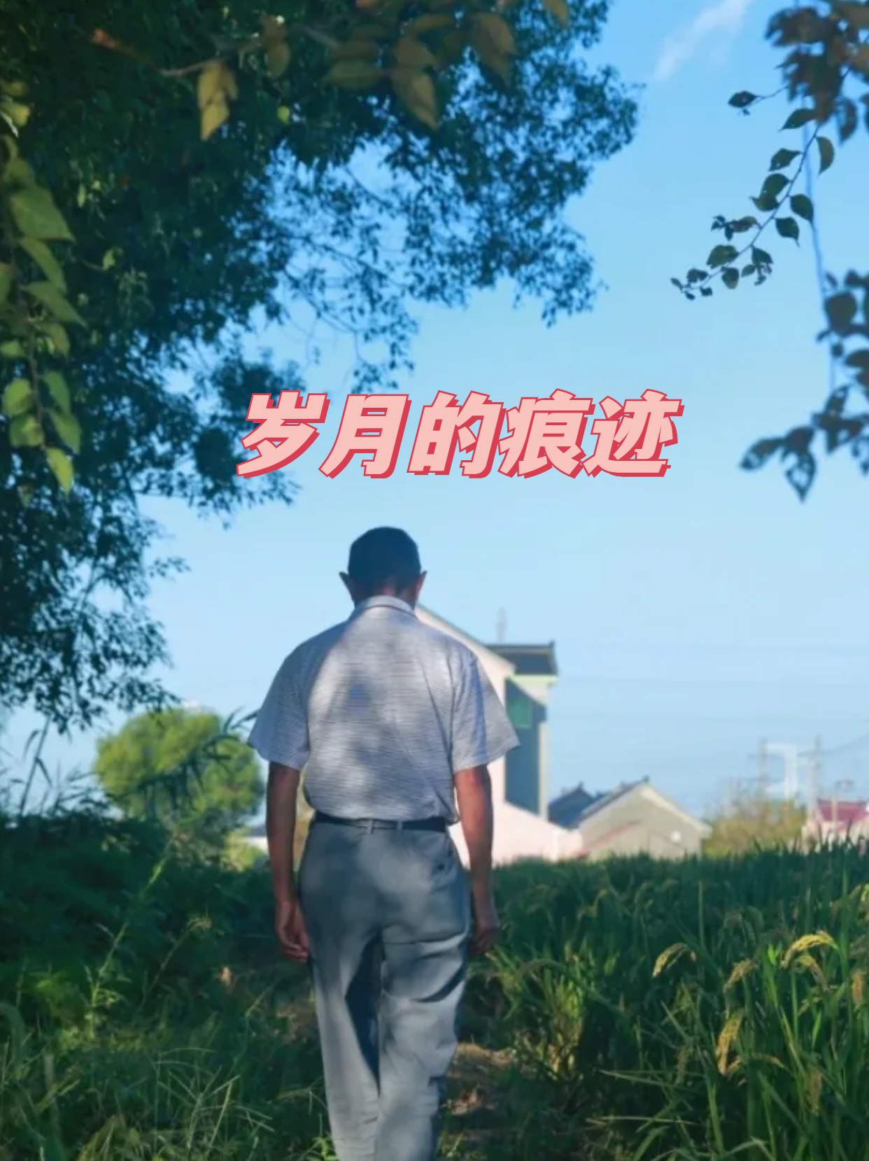 亲眼看到父亲生活,辛苦劳作的状态,我感到心情不同往日 他的背影中