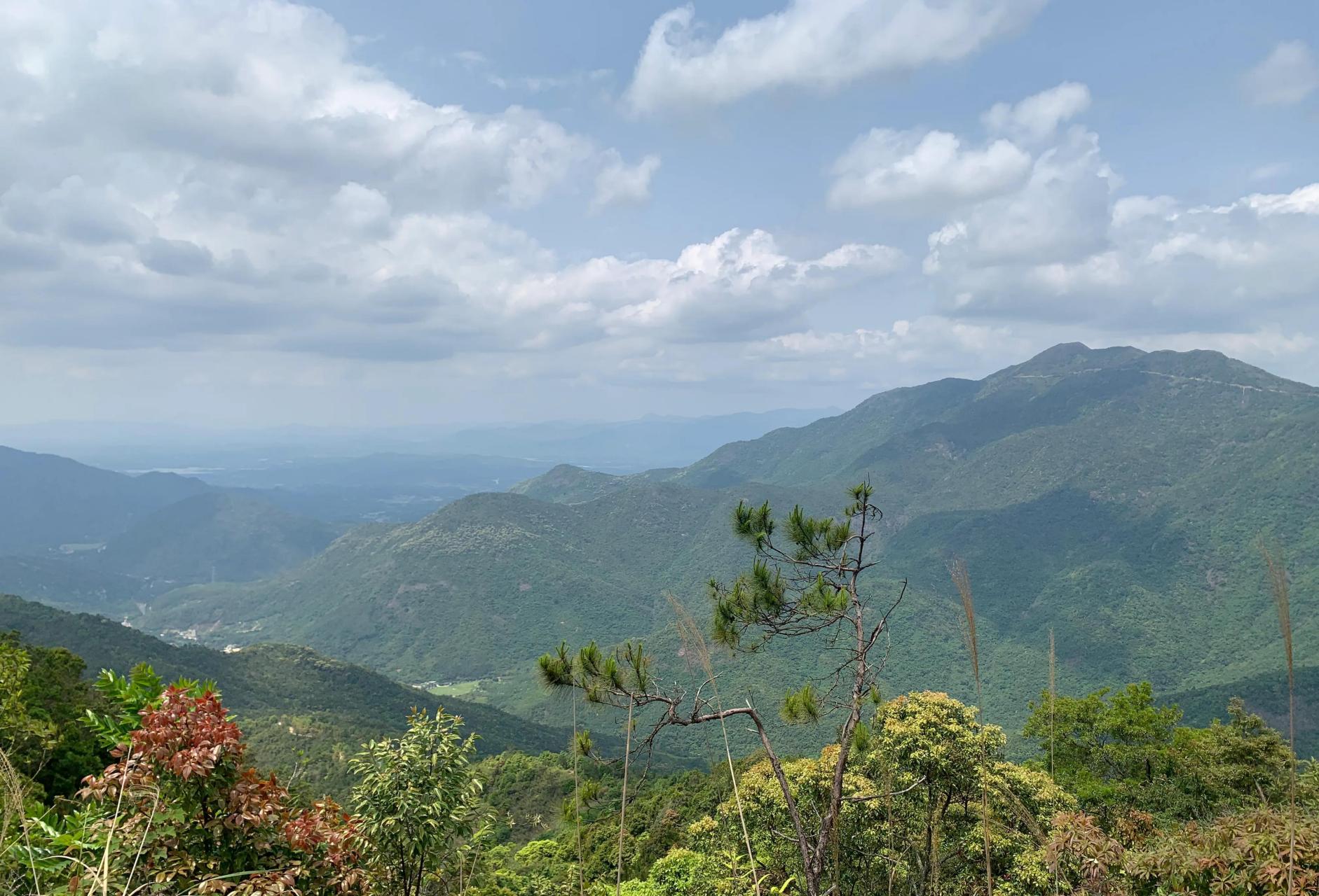 周六徒步惠州大南山,风景真美 快天黑6点才下山,约17公里,7小时,海拔