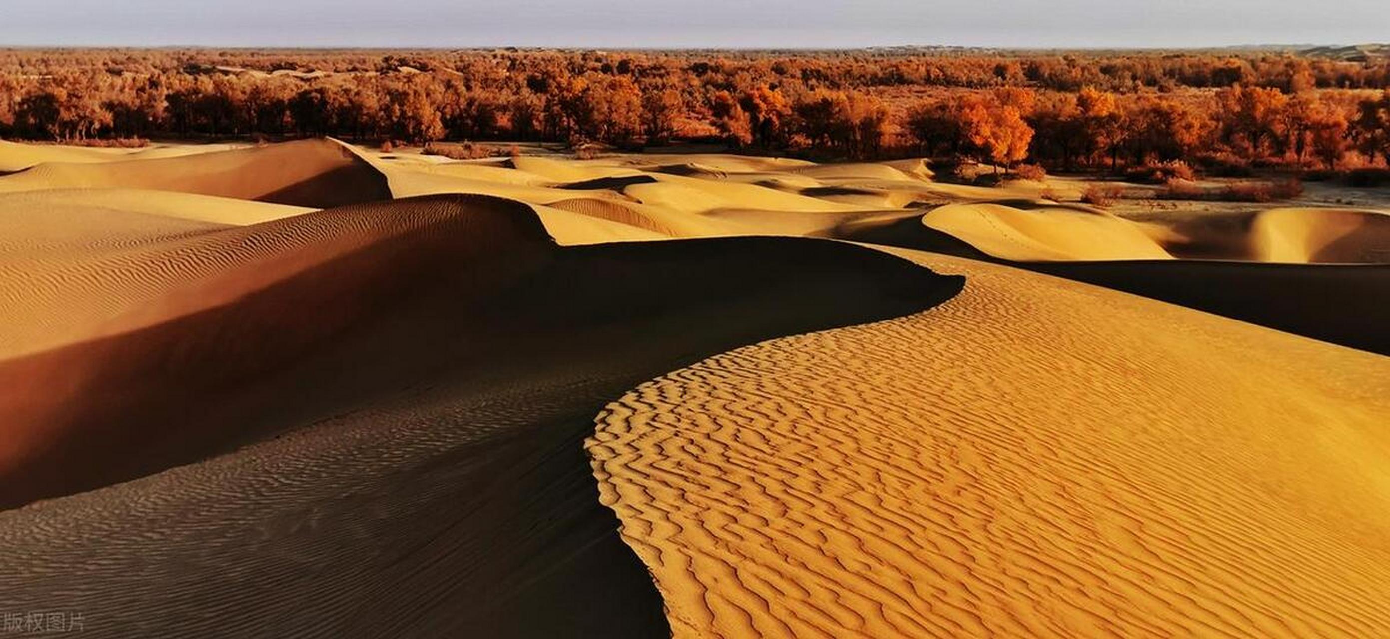 沙漠中的世外桃源,达里雅布依  中国最后一个被发现的村落——达里雅