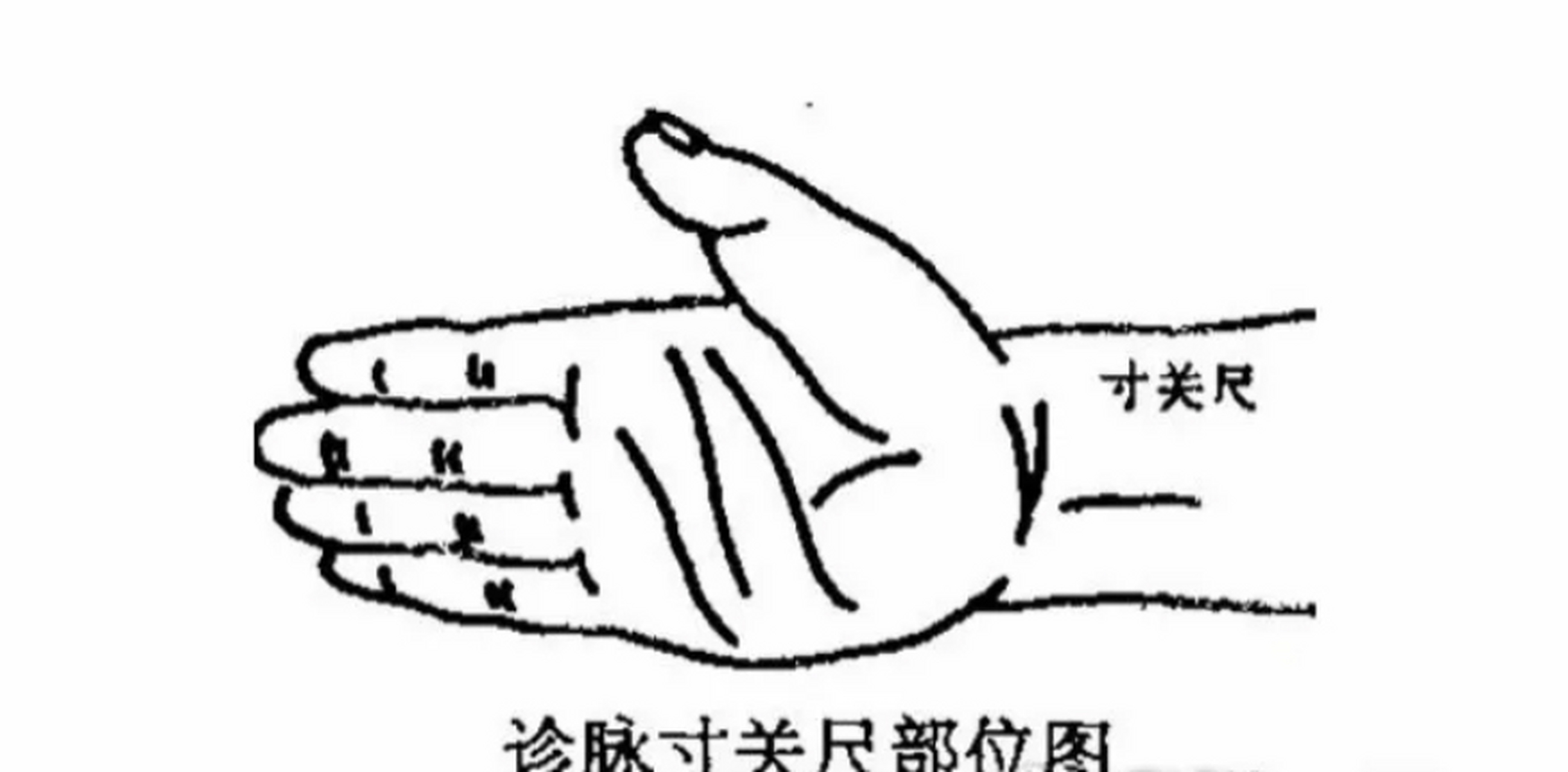 中医诊脉了解全身病症,一次讲透!