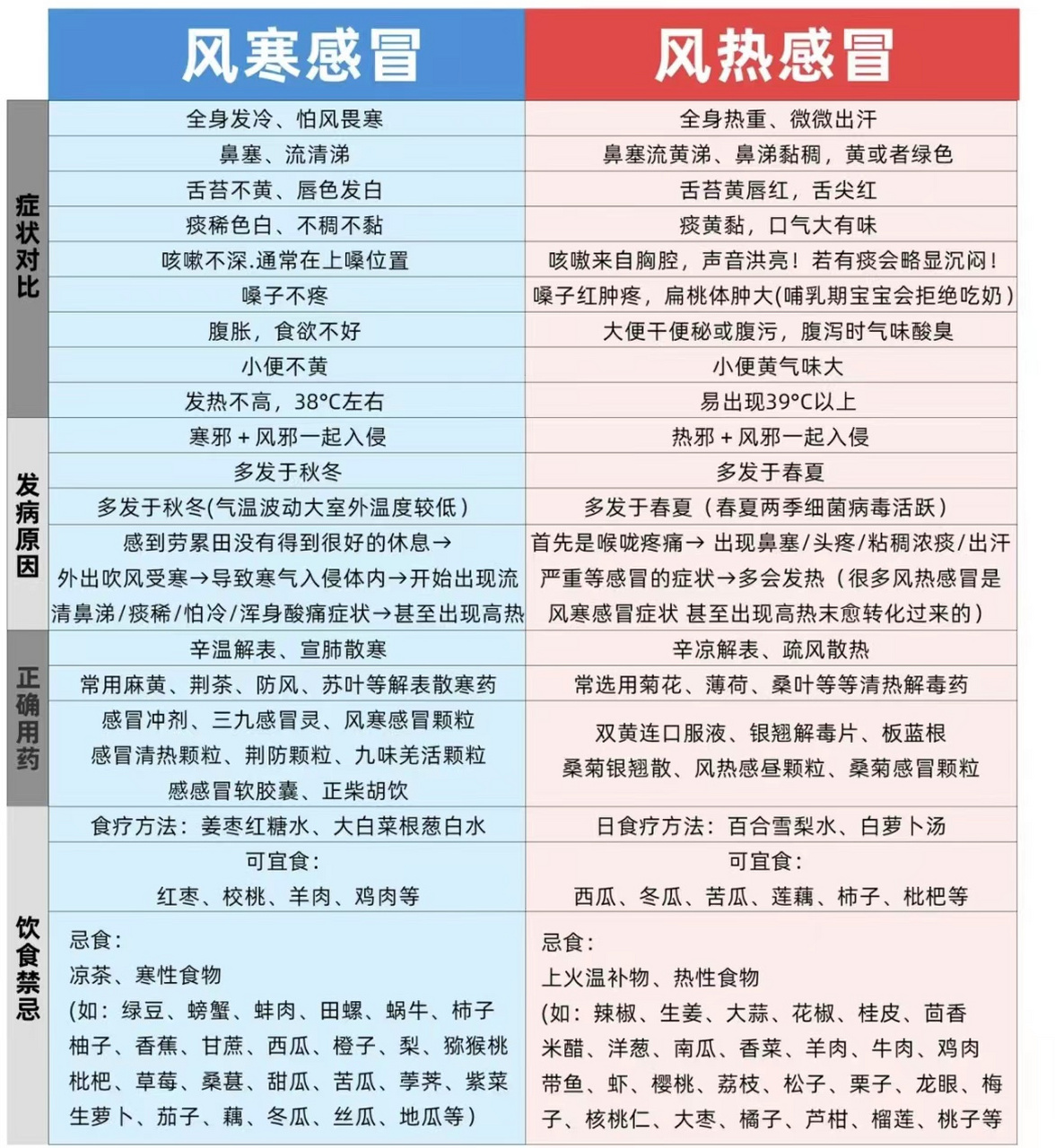 一张图分辨风寒vs风热图片