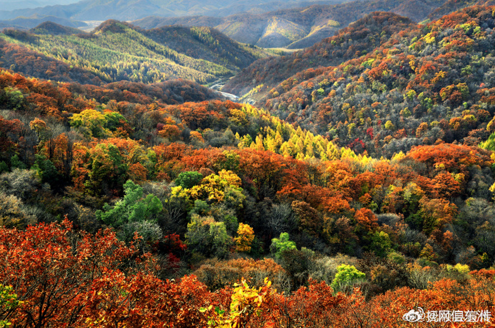 【天女山秋色】  #振兴新突破辽宁杠杠滴# #贯彻二十大辽宁在行动
