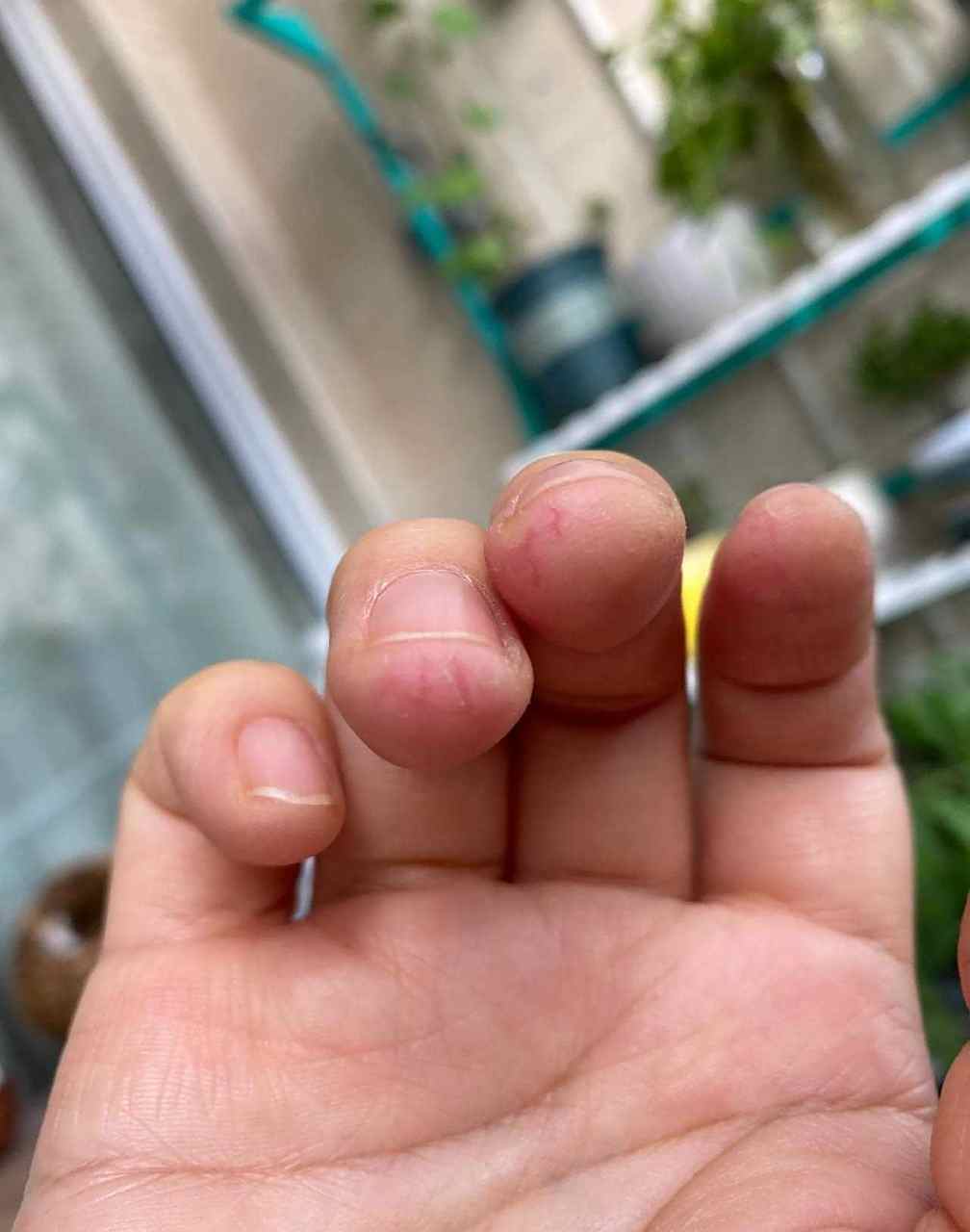 [大笑] 也没干啥啊?