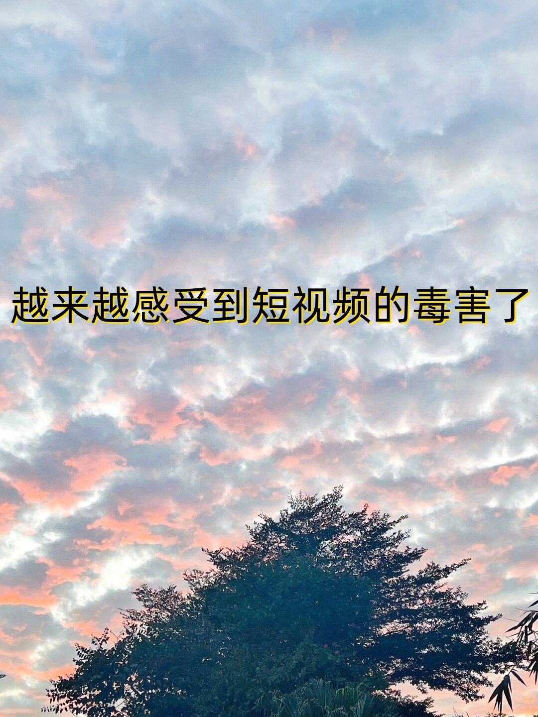 越来越感受到短视频的毒害了