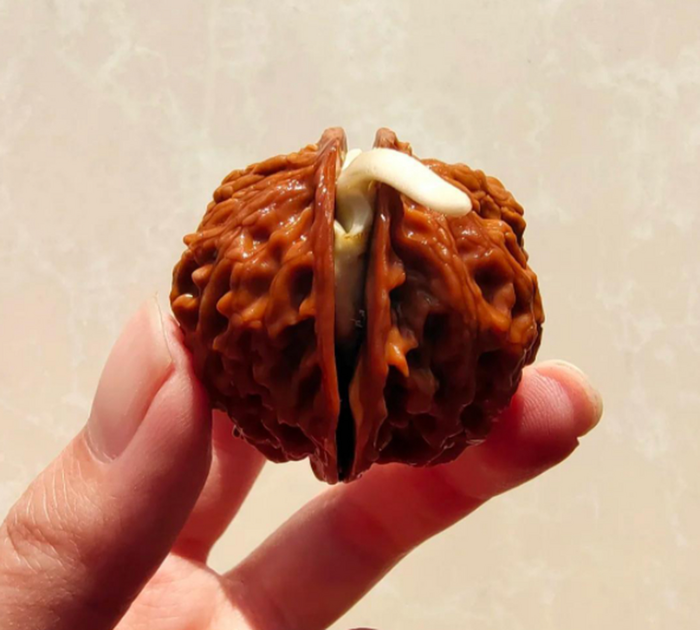 这核桃竟然发芽了!