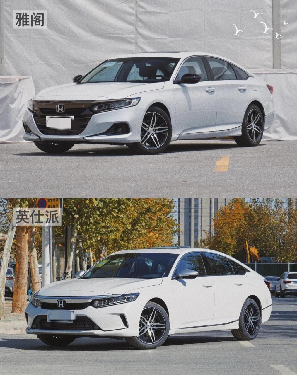 命运不同的两兄弟,雅阁和英仕派如何分辨?