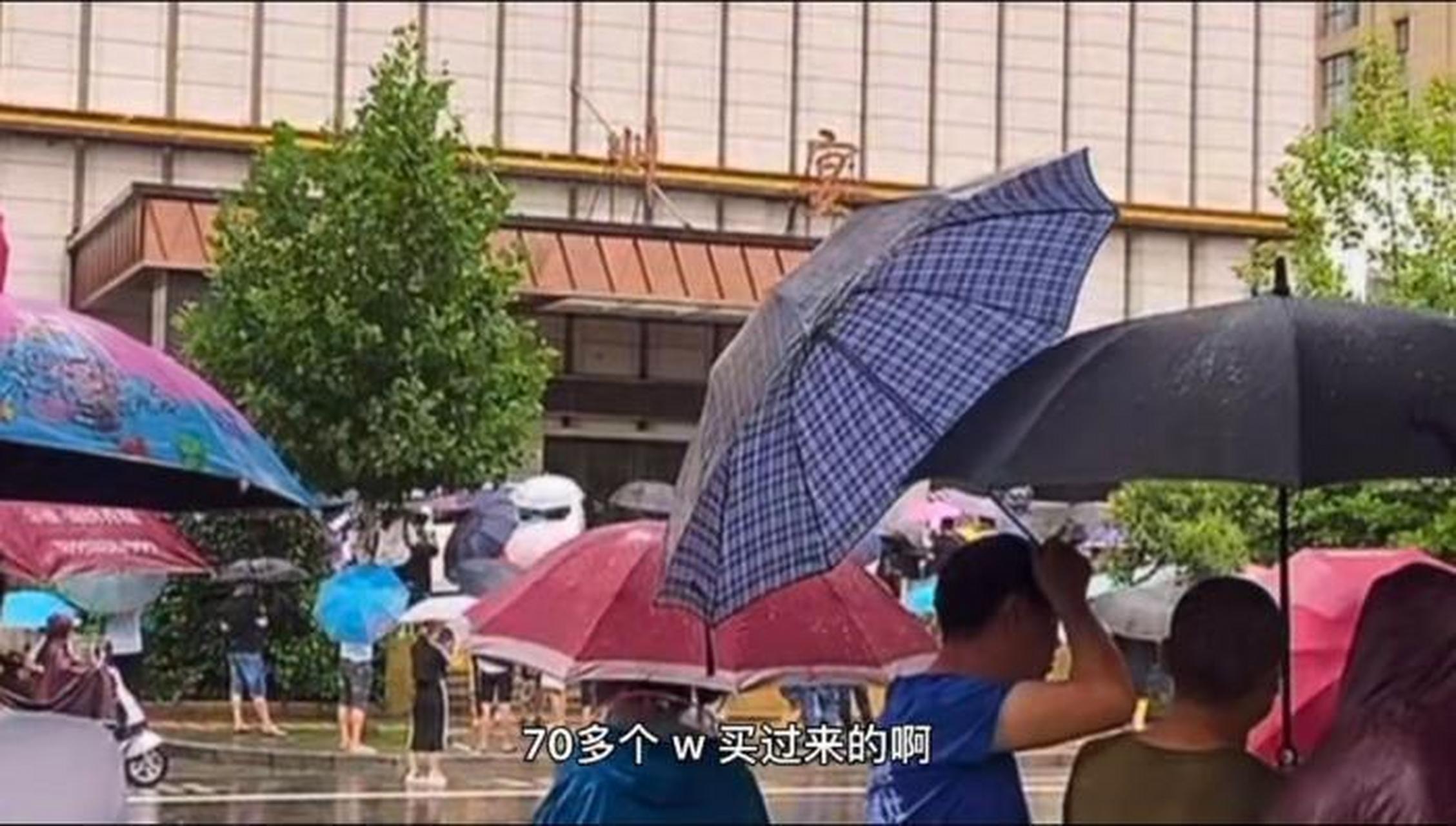 徽州宴老板娘遛狗事件带给我们的3点启示 最近徽州宴老板娘很是火了一
