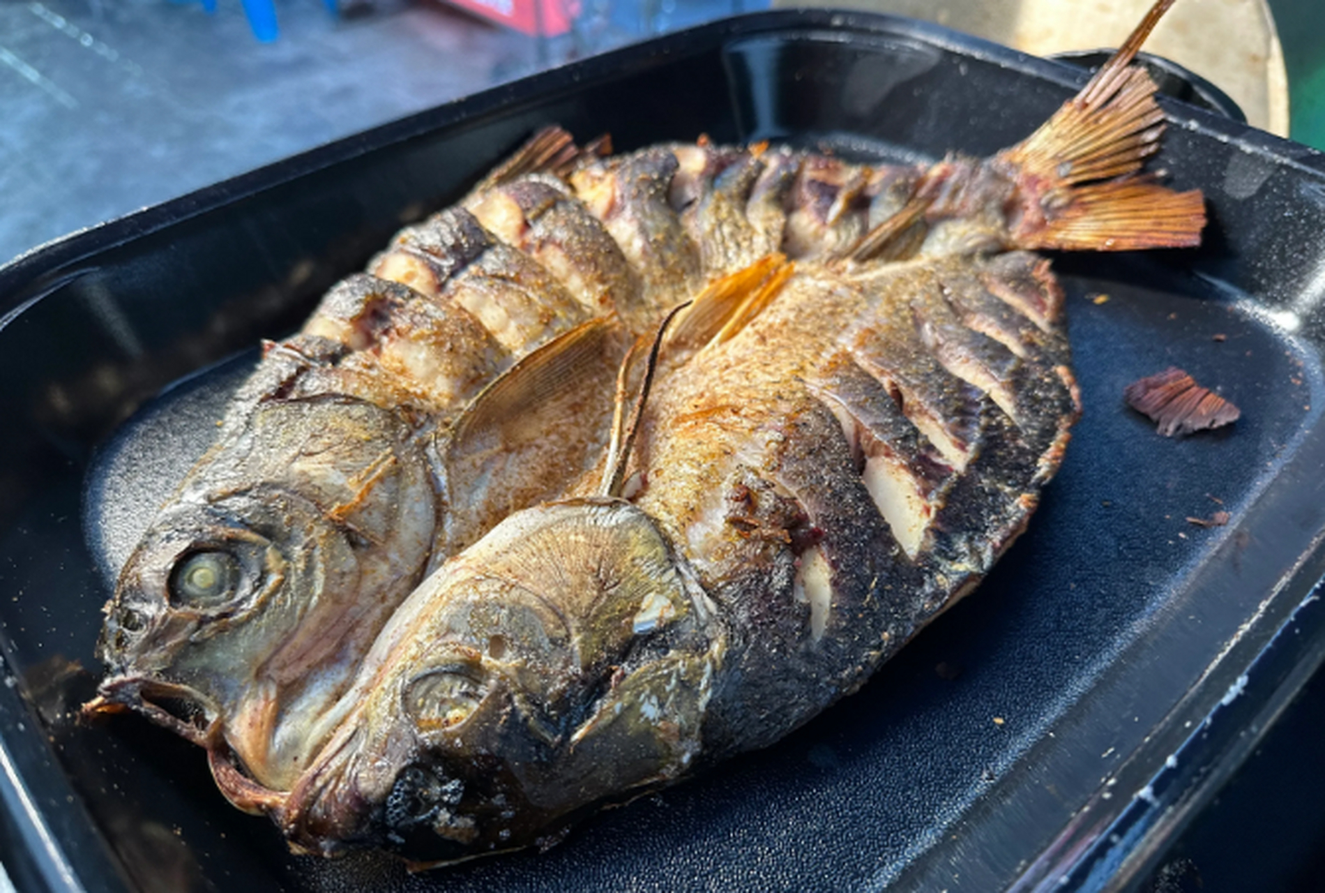 老巫溪县城的大宁河边,是烤鱼的发源地,这里的烤鱼和重庆啤酒的搭配