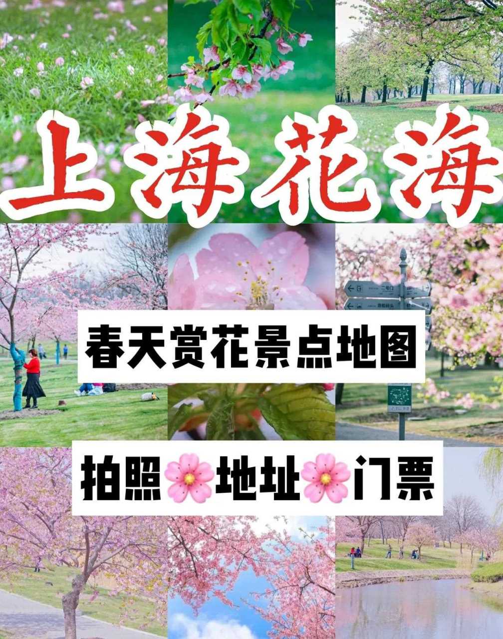 上海旅遊賞花景點地圖上海行李寄存攻略 上海植物園[汗] 賞櫻點3號門