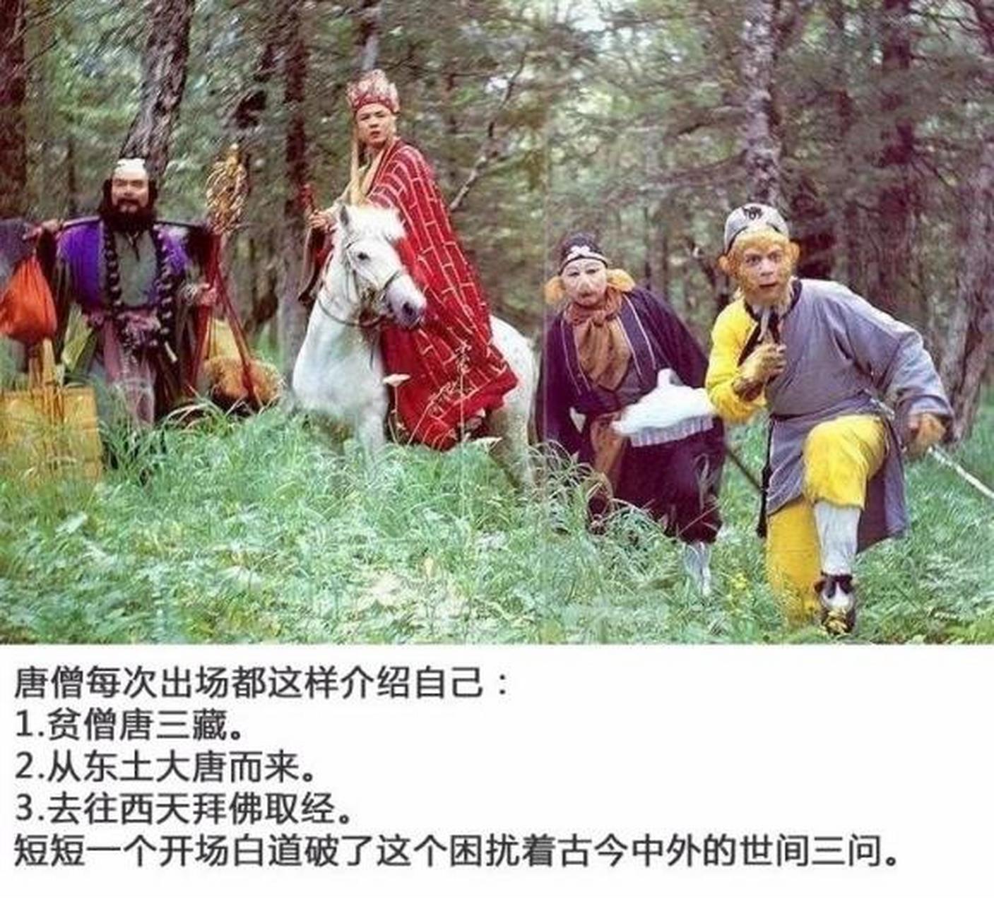 人生三问最佳答案搞笑版(人生三问是哪三问谁提出来的)