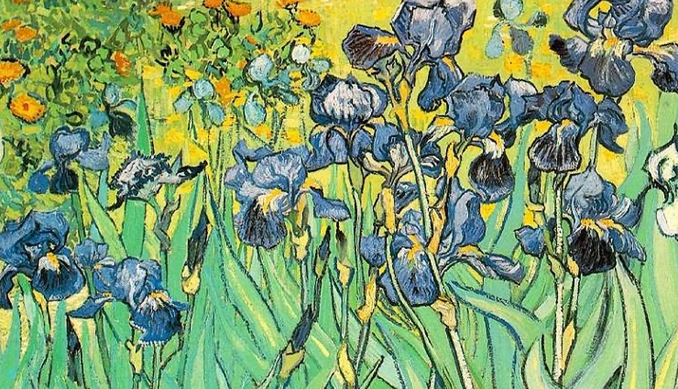 梵高作品赏析——鸢尾花系列 梵高除了向日葵以外另一关于花的著作