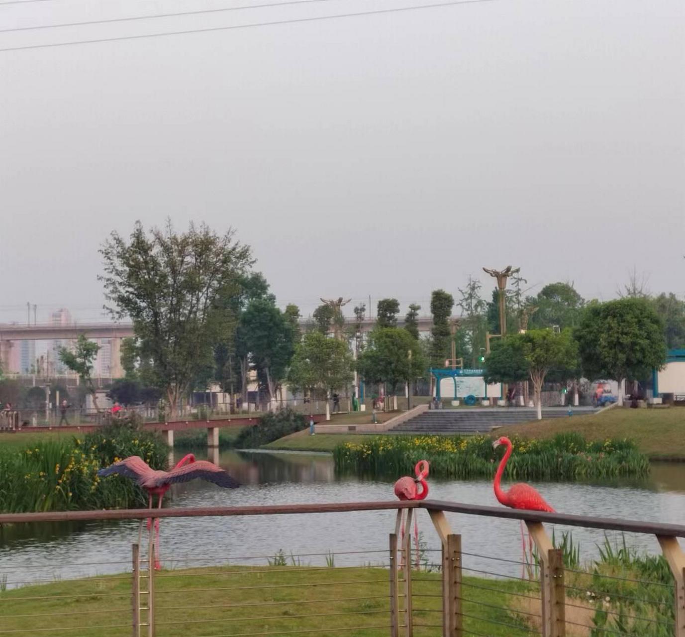 这座美丽的湿地公园,紧挨着鸭子河漫步栈道,在新金雁大桥和宝成铁路