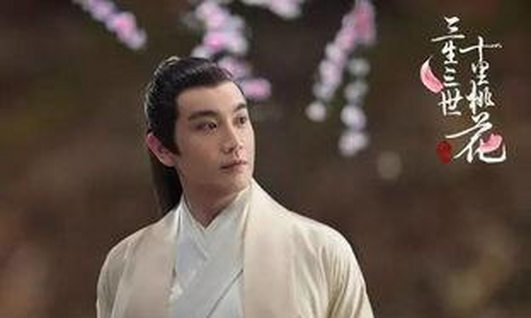 在里面的张智尧饰演的是花满楼一角色,而张智霖则是陆小凤.