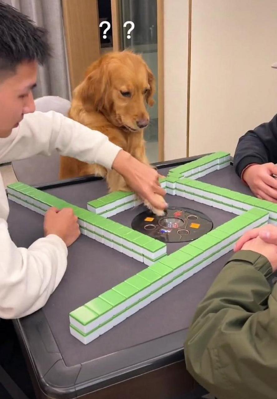 当打麻将三缺一的时候