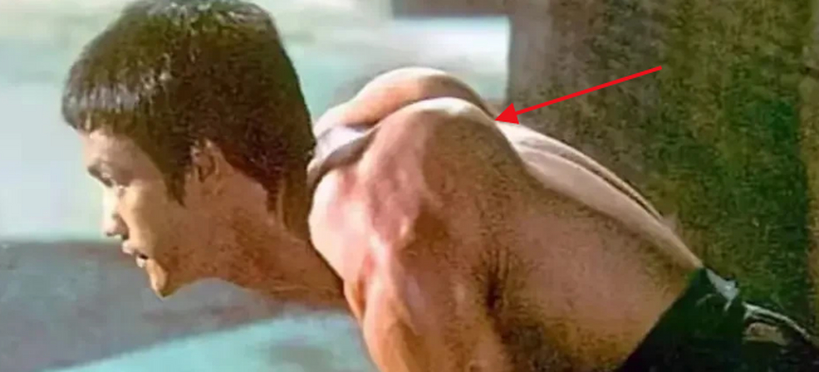 李小龙肩胛骨怎么这么凸出,普通人也就一半高吧?