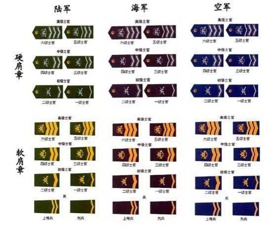 三级军士长军衔命令图片