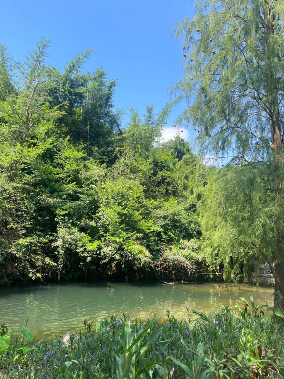 深圳爬山  马峦山瀑布 定位:深圳市坪山区 马峦山郊野公园 需要提前