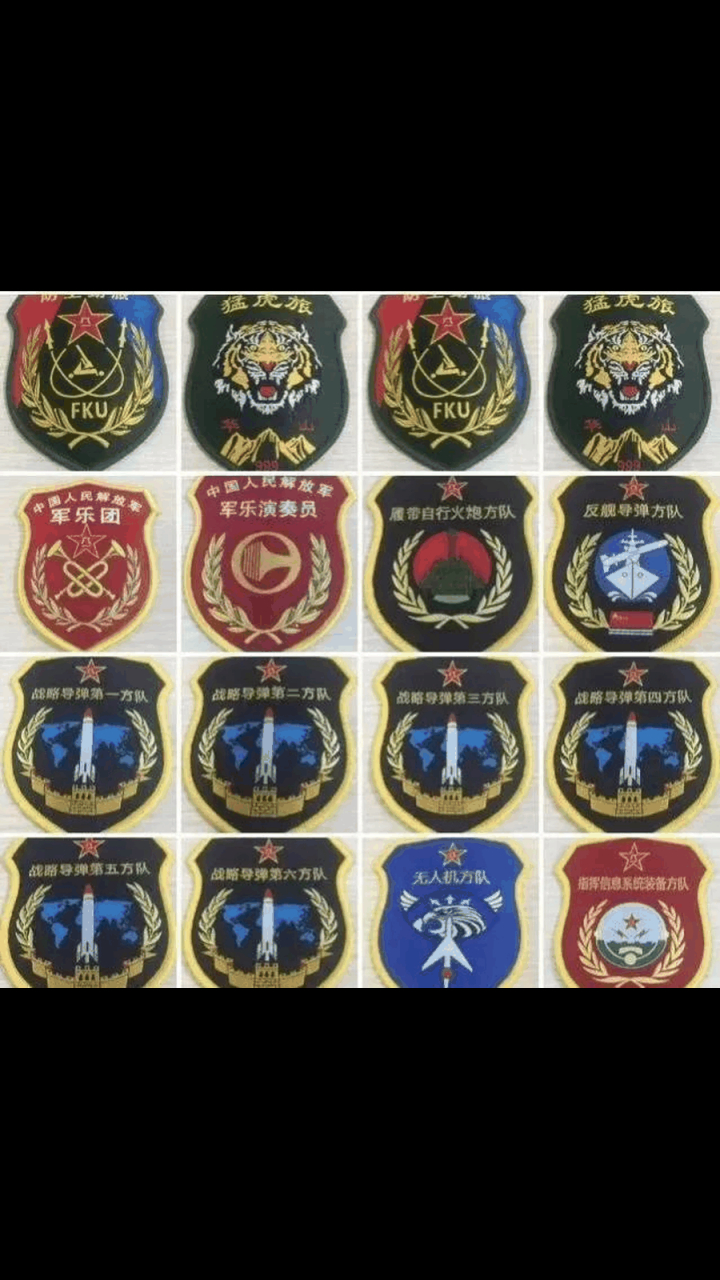 gif创作人# 请您欣赏酷酷的解放军臂章,全都汇聚到这里了,喜欢的就