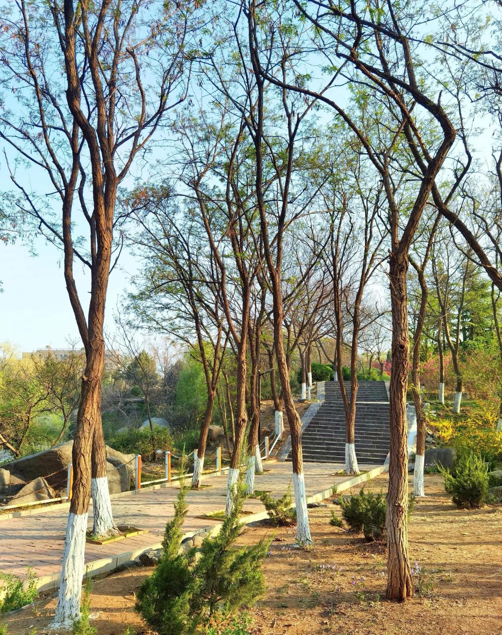 山东交通学院济南无影山校区,久违了!