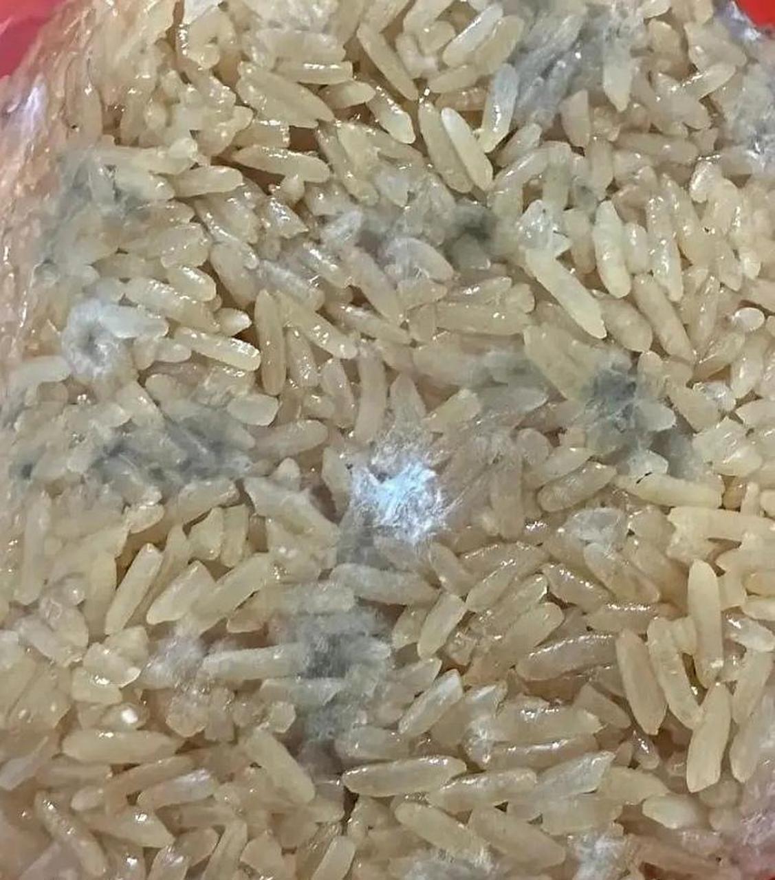 网友:米都发霉了,我妈还非要热给我吃,我该怎么办呢?