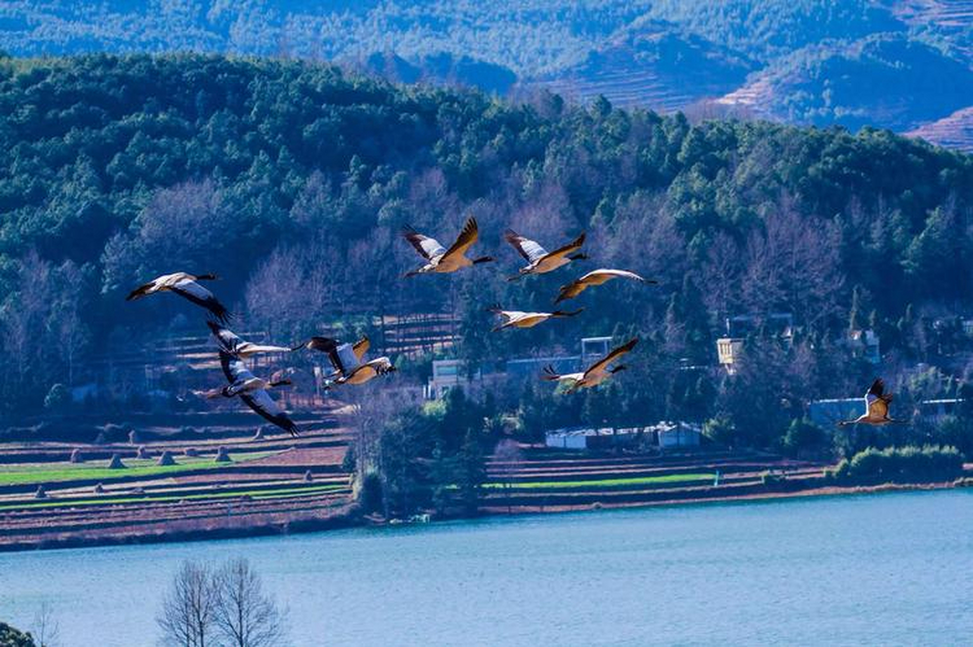 草海,位于贵州省毕节市威宁县,是贵州最大的天然湖泊.