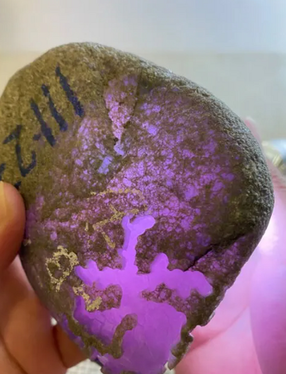 点击头像看直播##翡翠原石# 大窗口,冰紫,见光不死,紫色浓郁,妖艳打 