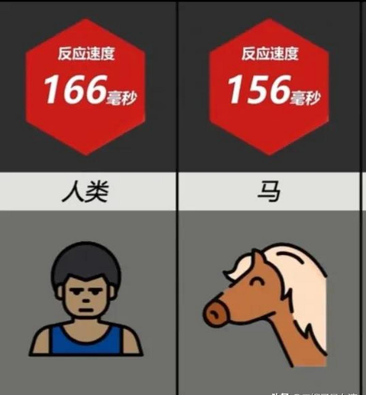 gif创作人# 各种动物反应速度排行榜,人居然不是最快的!
