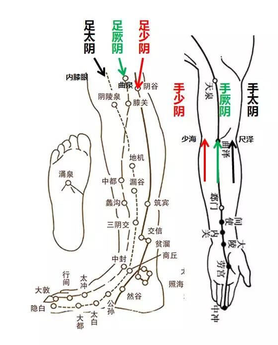 三阴准确位置图片图图片