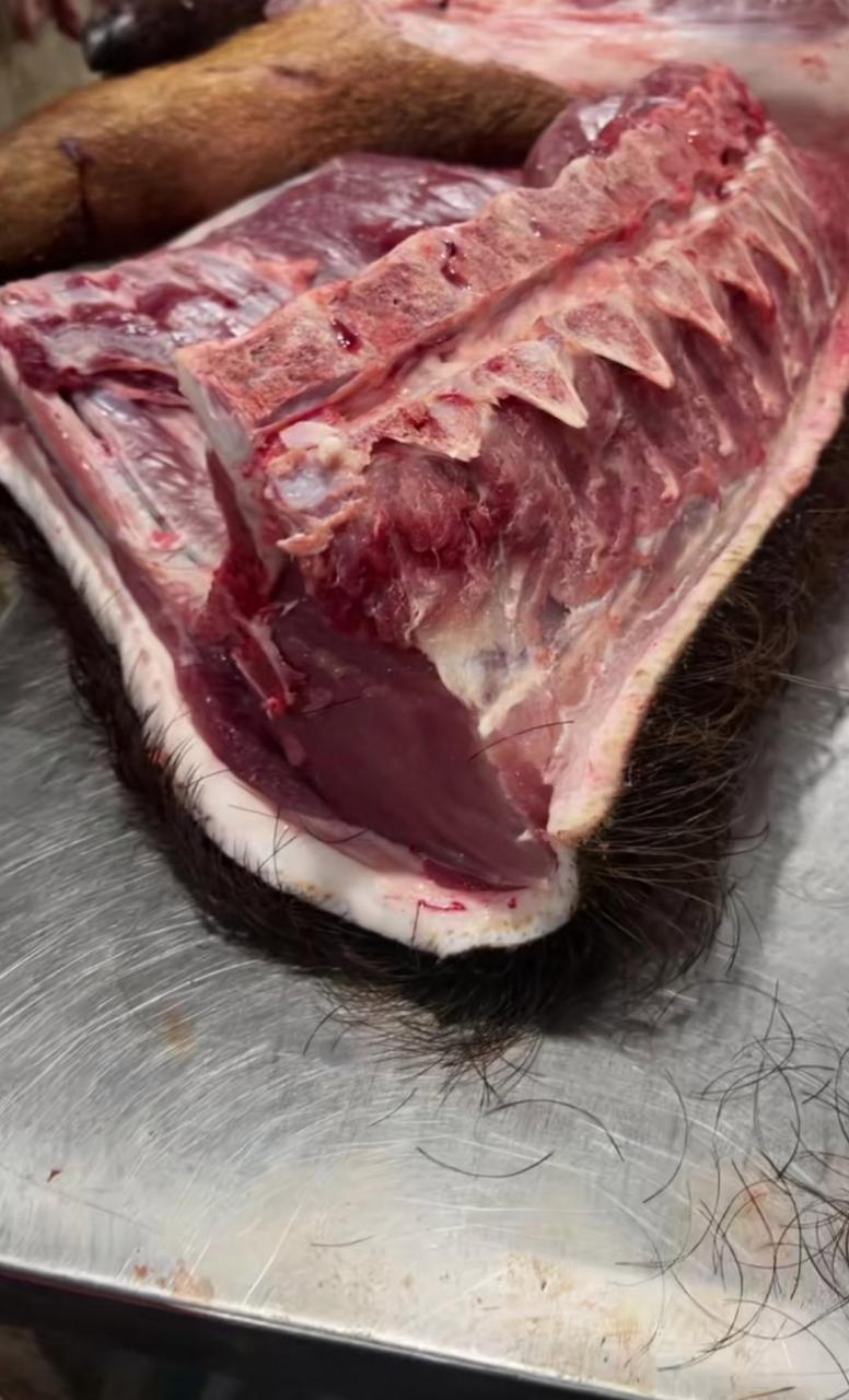 这也猪肉怎么看起来这么皮糙肉厚.