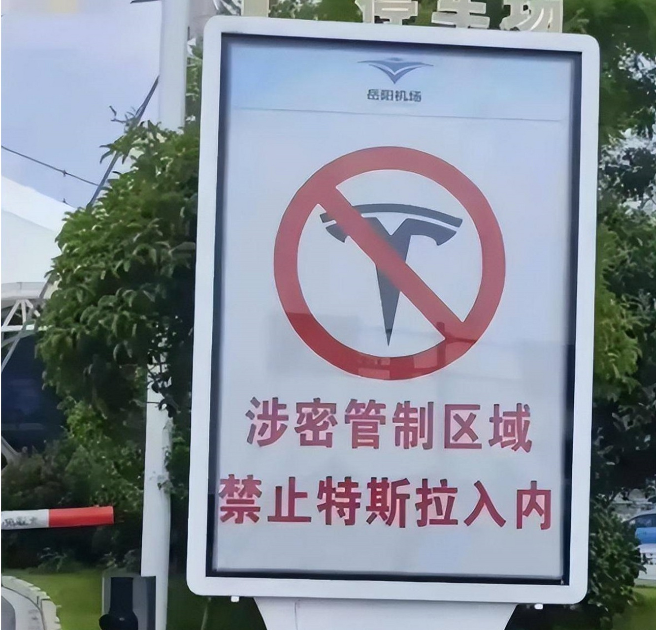 网友:特斯拉公关成功了?