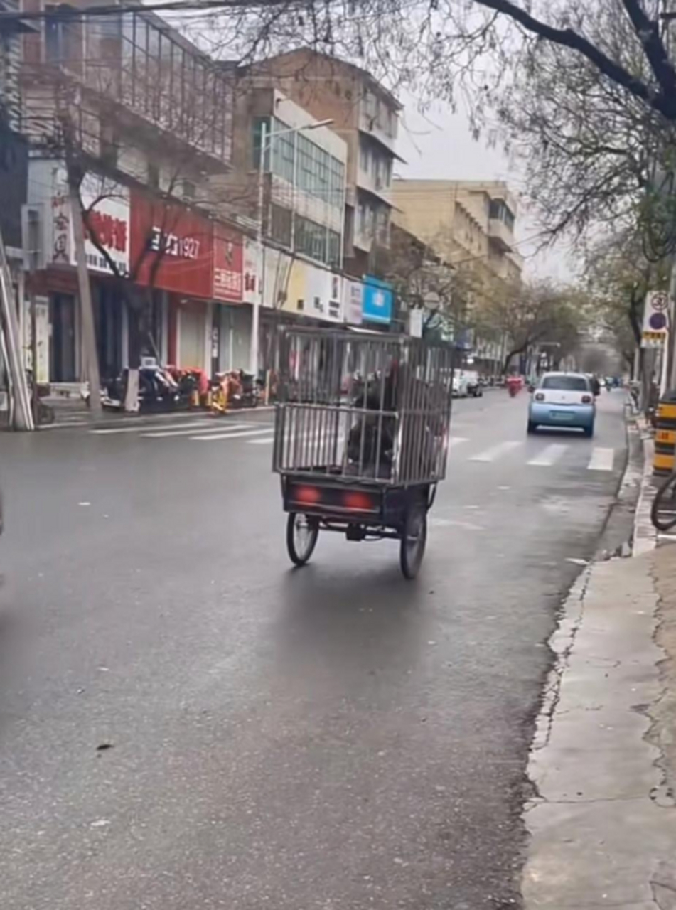 奶奶接孙子怕不安全三轮车上焊个铁笼子