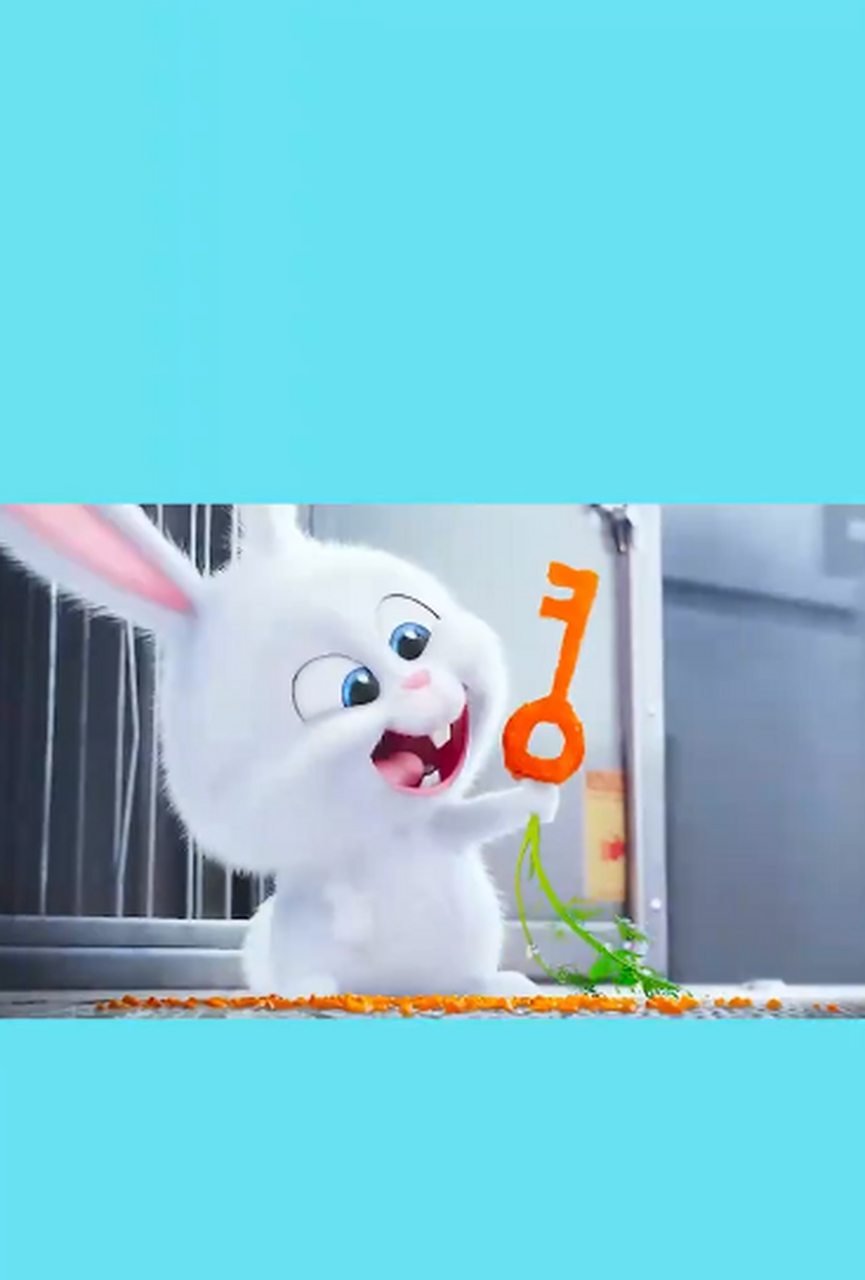 凶狠的兔老大最终沦落为兔宝宝