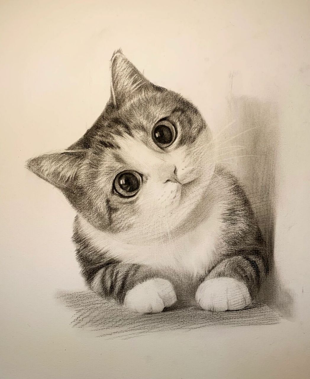 超可爱猫猫素描步骤图  超级可爱又适合零基础学员练习的猫咪步骤