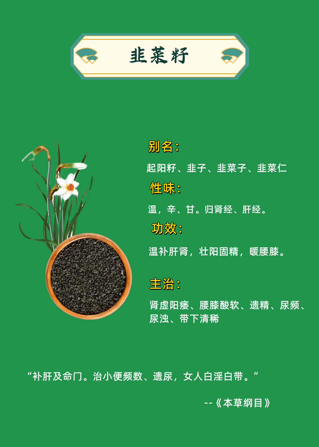 韭菜籽茶起作用图片