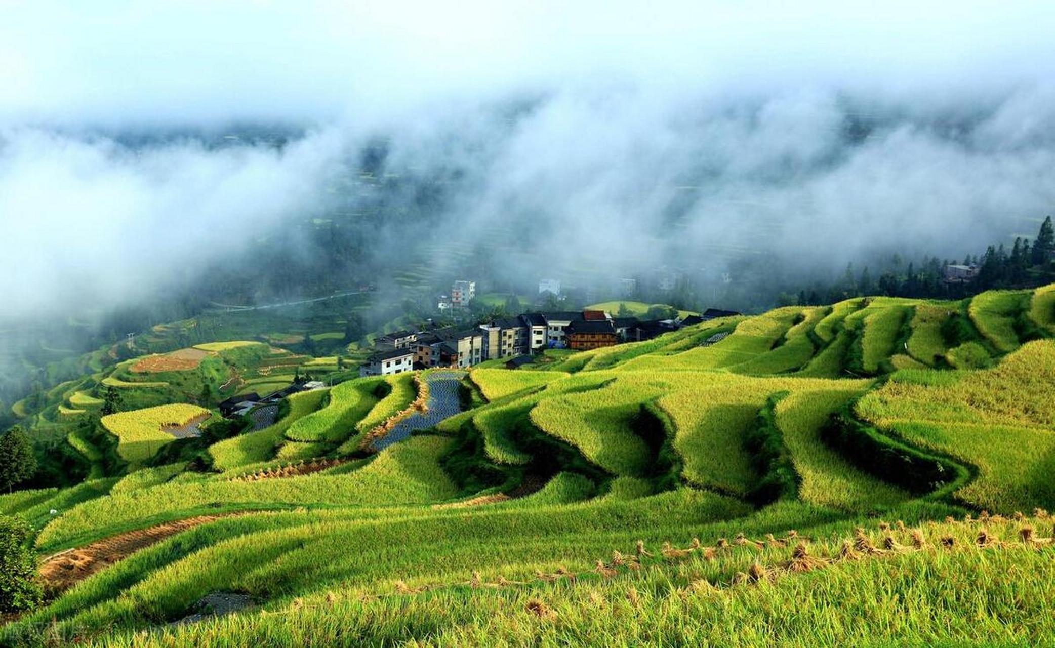 堂安梯田 | 漫步于希望的田野  堂安梯田,是在堂安侗寨里 ,位于黔东南