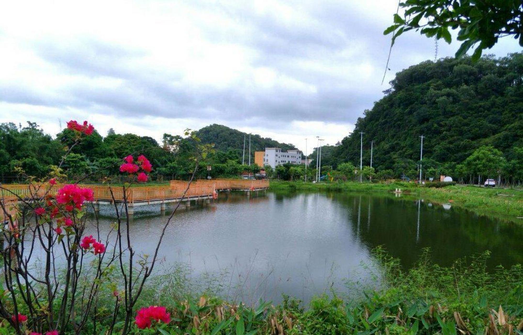网友: 鲤鱼山生态公园位于中山市环山路,就是有点偏远. #趣图搞笑