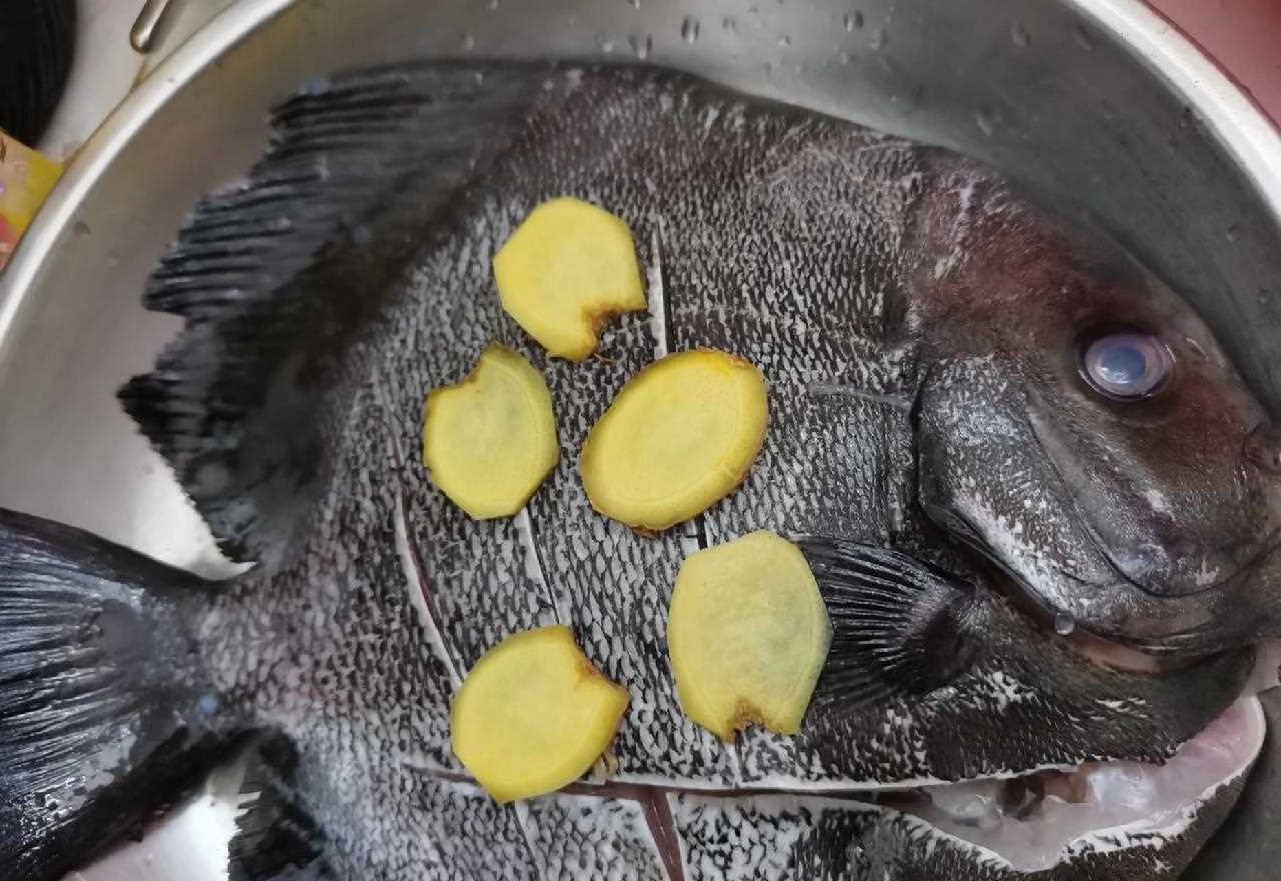 这种鱼还是第一次见到,周色黑色,不知为什么叫燕子鲳,看外形也不像