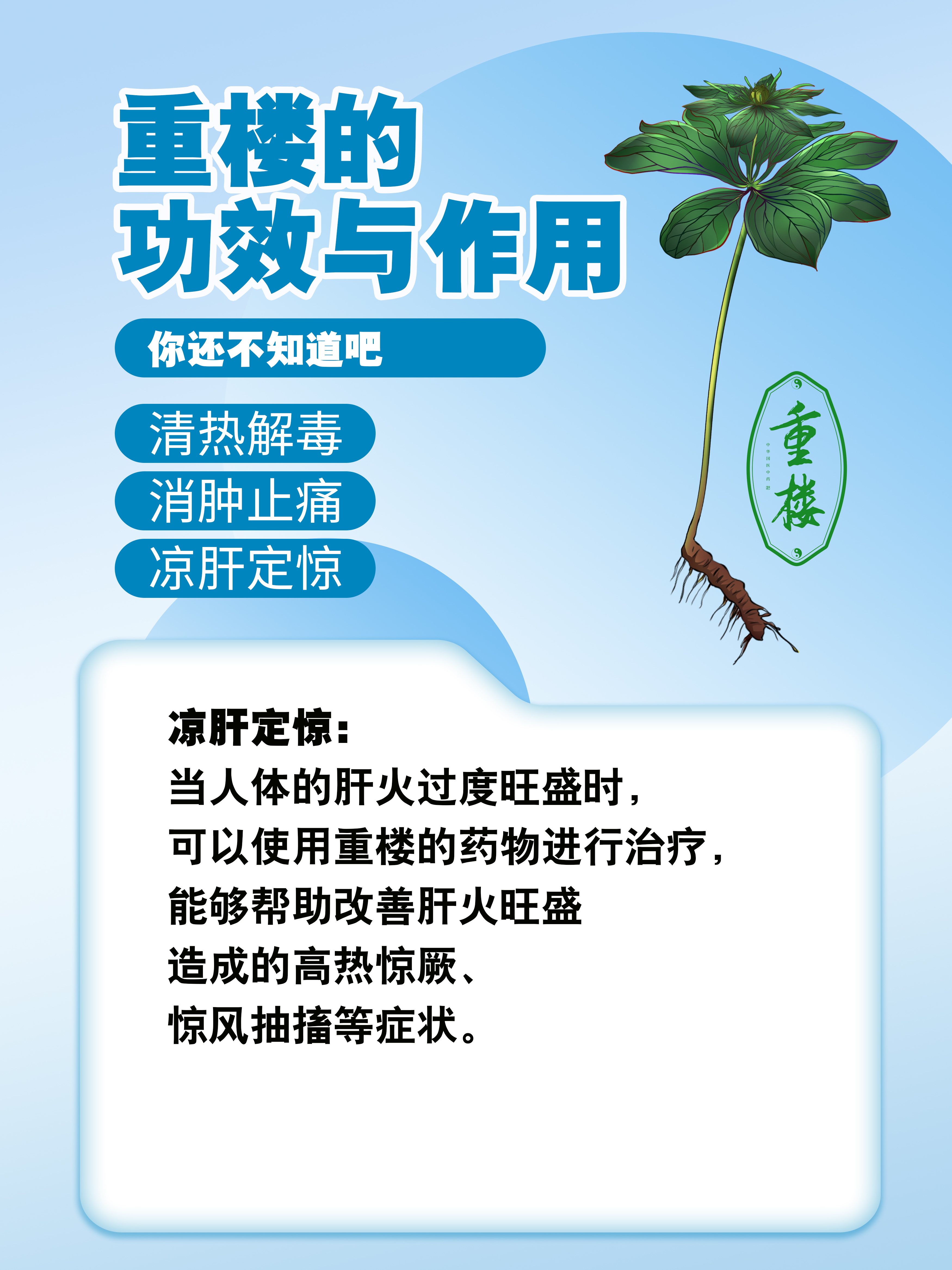 重楼的功效与作用,你还不知道吧 #健康经验笔记#  重楼多生于林下