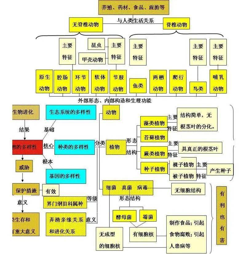 初中生物结构图打印版图片