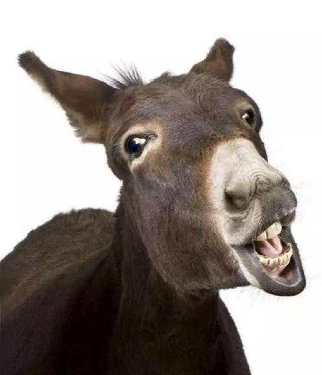 两个男人饶有兴致的看着前方,其中一个笑得不怀好意.