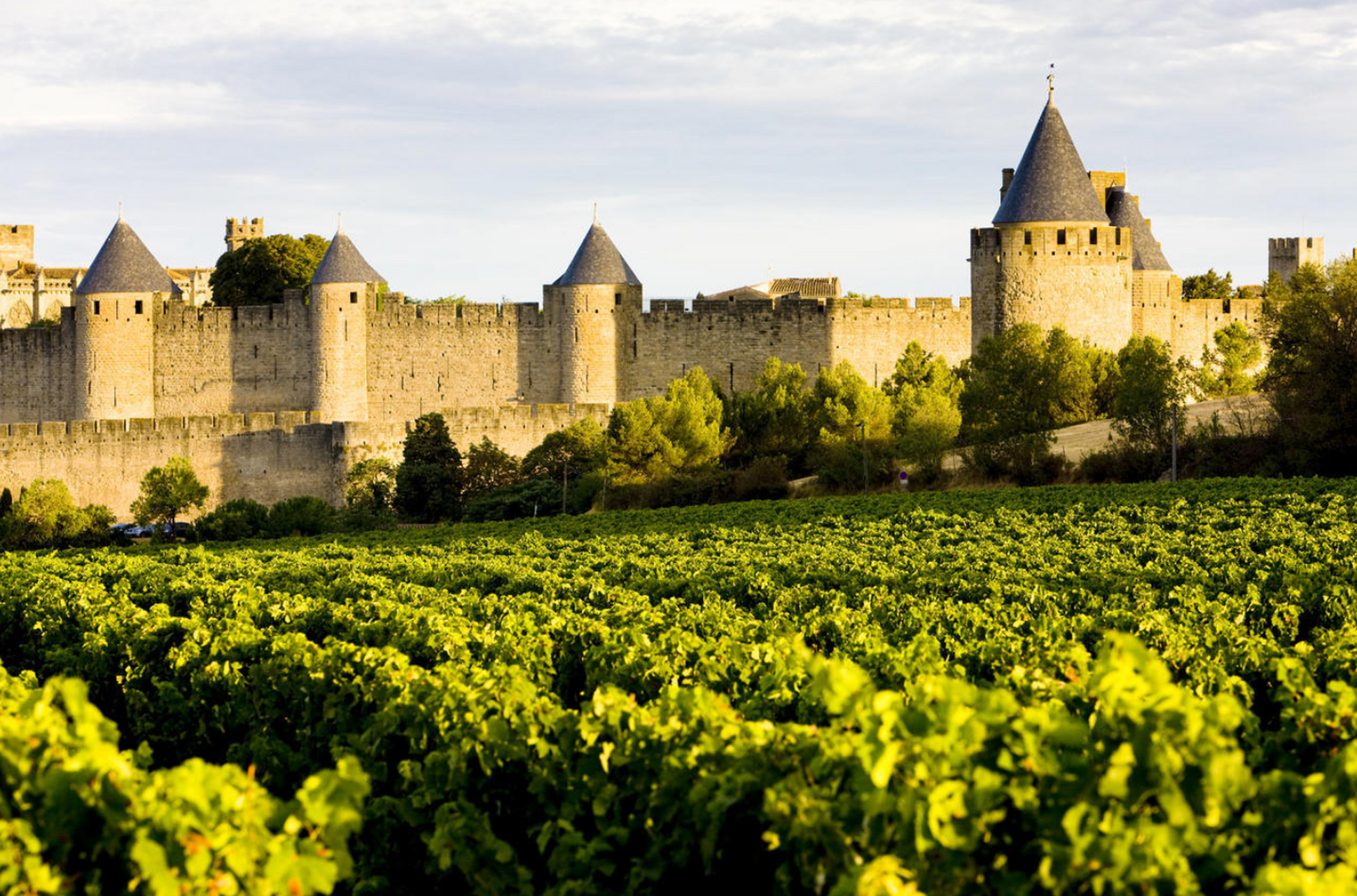 位于法国南部普罗旺斯地区的赫尼庄园,是一个拥有近百年历史的葡萄酒