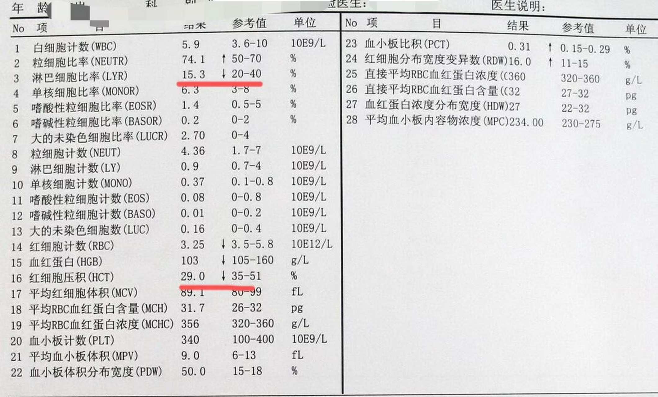 大血小板比率图片